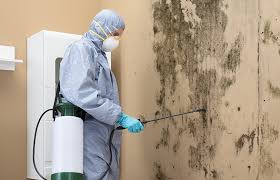 Trusted Hopelawn, NJ Mold Removal & Remediation Experts